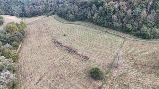 46 Carver Hollow Lane, Pleasant Shade, TN 37145