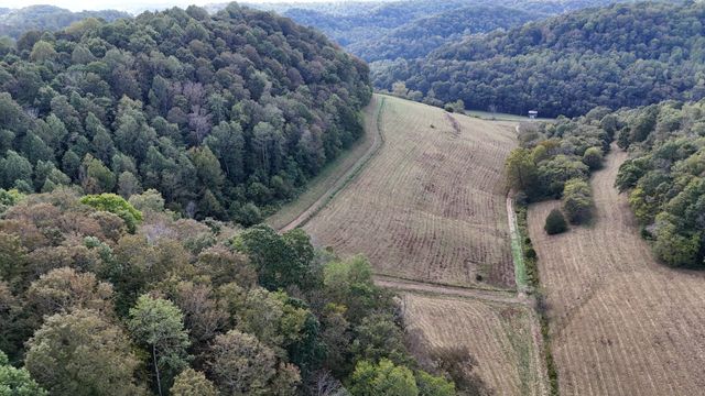 46 Carver Hollow Lane, Pleasant Shade, TN 37145