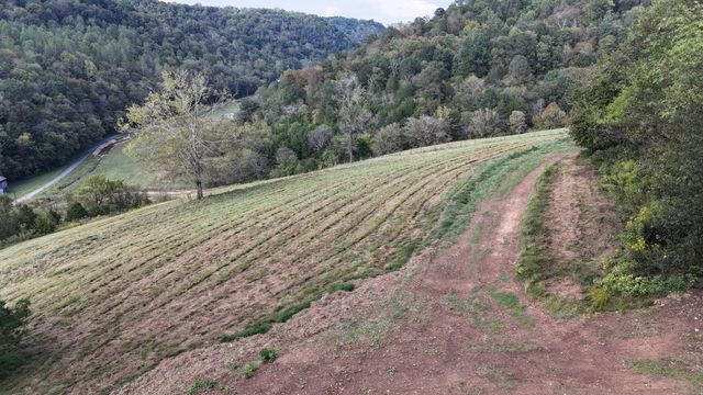 46 Carver Hollow Lane, Pleasant Shade, TN 37145