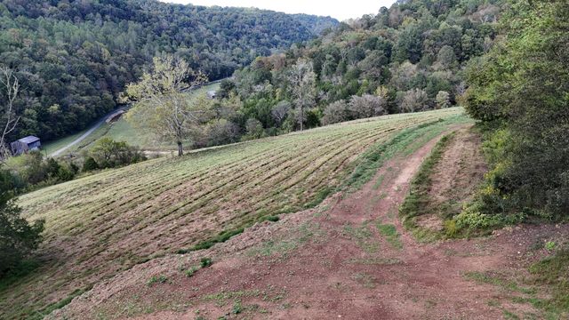 46 Carver Hollow Lane, Pleasant Shade, TN 37145