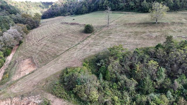 46 Carver Hollow Lane, Pleasant Shade, TN 37145