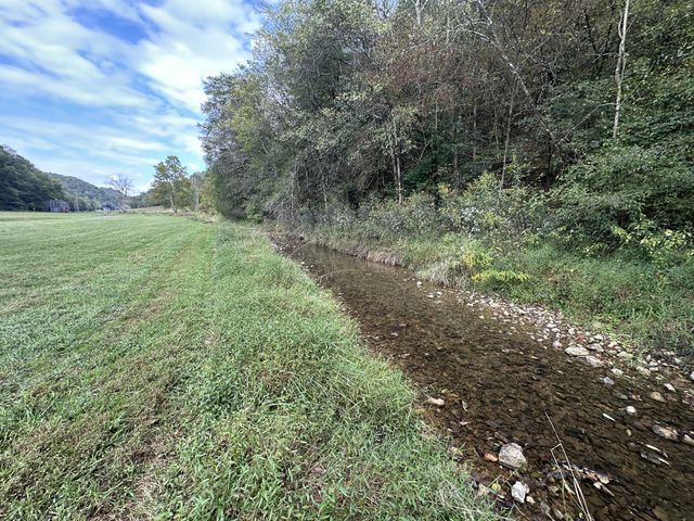 46 Carver Hollow Lane, Pleasant Shade, TN 37145