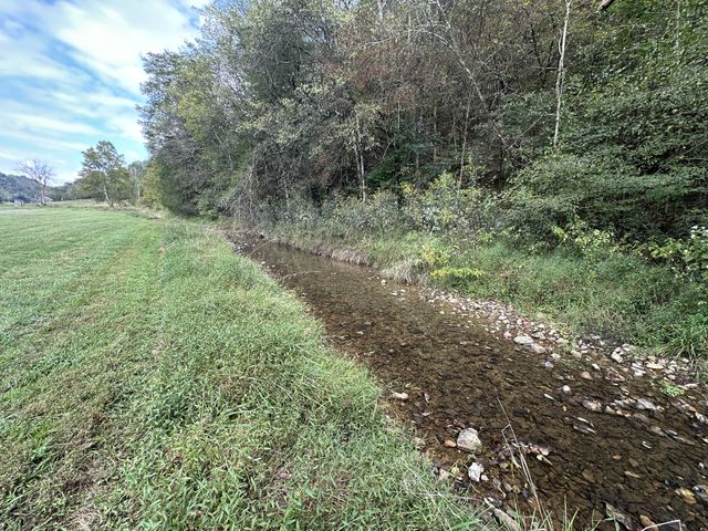 46 Carver Hollow Lane, Pleasant Shade, TN 37145