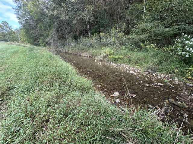 46 Carver Hollow Lane, Pleasant Shade, TN 37145