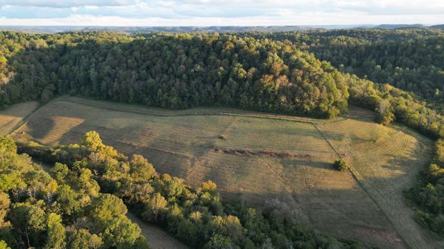 46 Carver Hollow Lane, Pleasant Shade, TN 37145