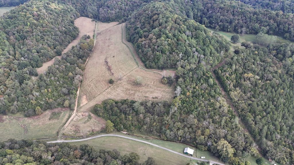 46 Carver Hollow Lane, Pleasant Shade, TN 37145