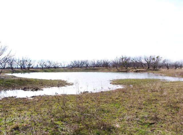 6500A FM 586, Bangs, TX 76823