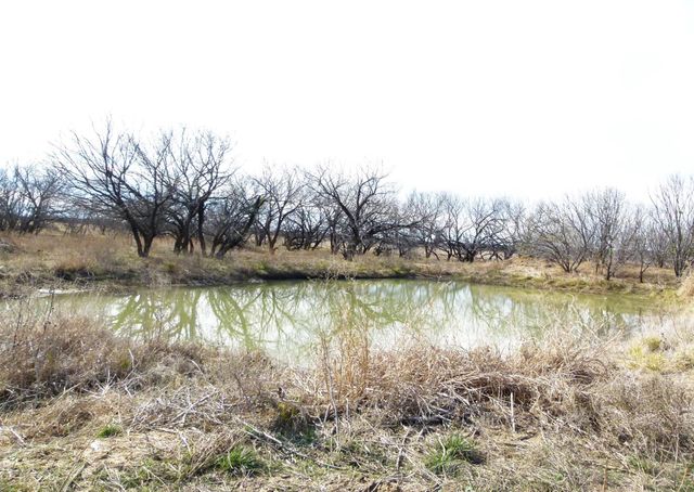 6500A FM 586, Bangs, TX 76823