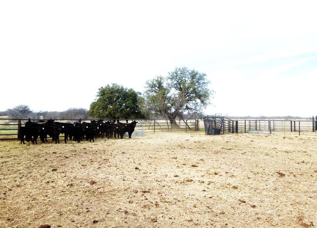 6500A FM 586, Bangs, TX 76823