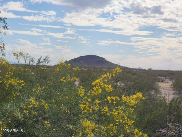 3544 N CHAPPAREL Drive, Florence, AZ 85132