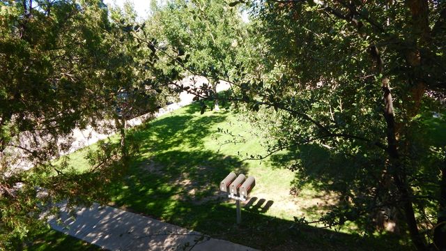2025 S Granada Drive Apt 14, Tempe, AZ 85282