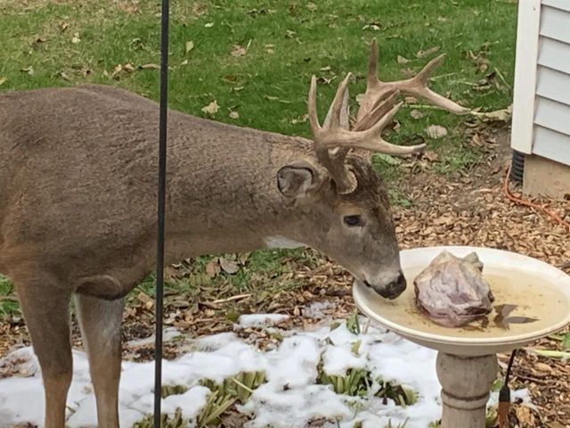 9714 Highway 19, Mazomanie, WI 53560