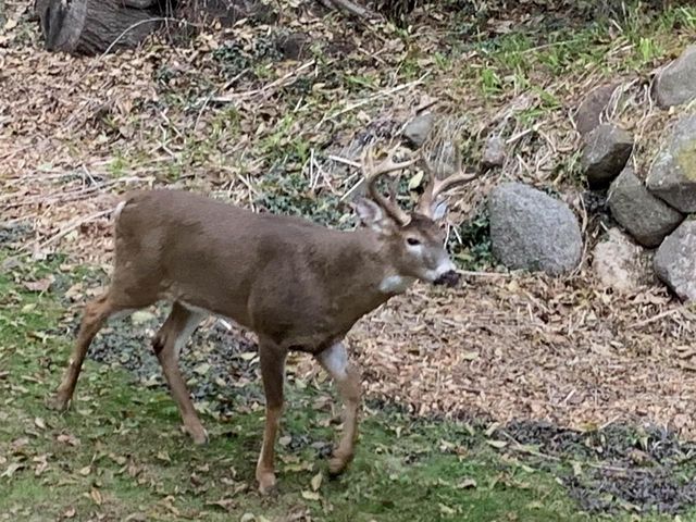 9714 Highway 19, Mazomanie, WI 53560