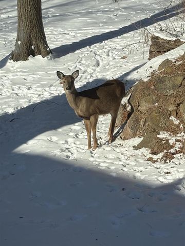 9714 Highway 19, Mazomanie, WI 53560