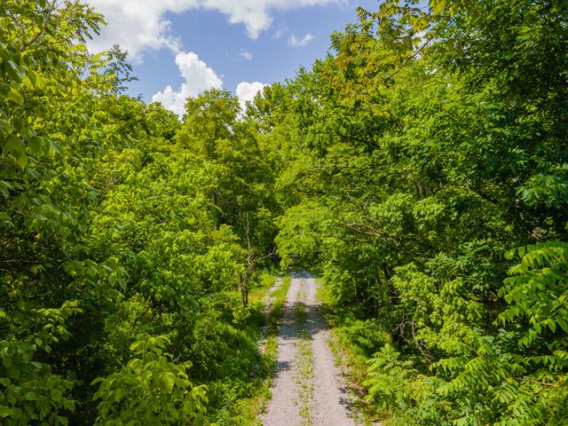 1700 Allen Brown Rd, Belfast, TN 37019
