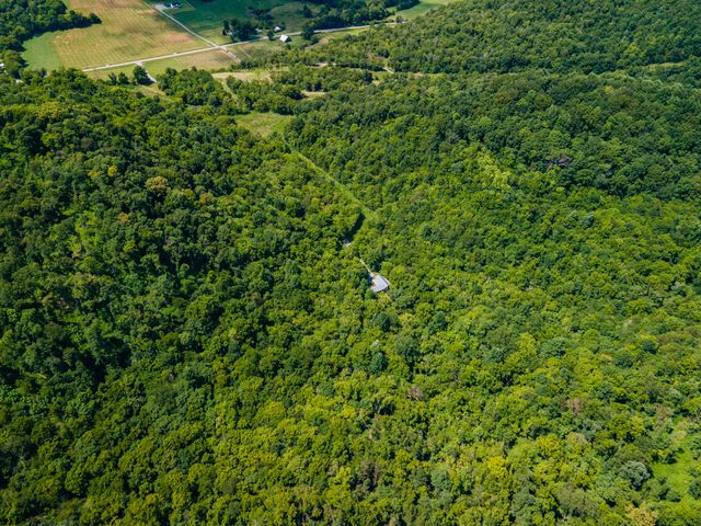 1700 Allen Brown Rd, Belfast, TN 37019