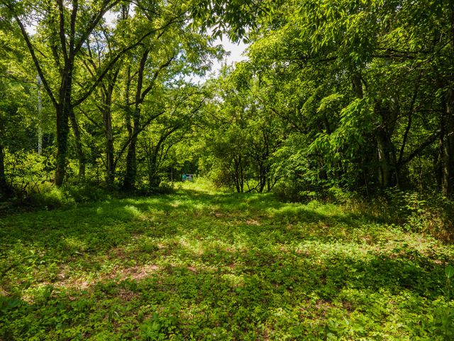 1700 Allen Brown Rd, Belfast, TN 37019