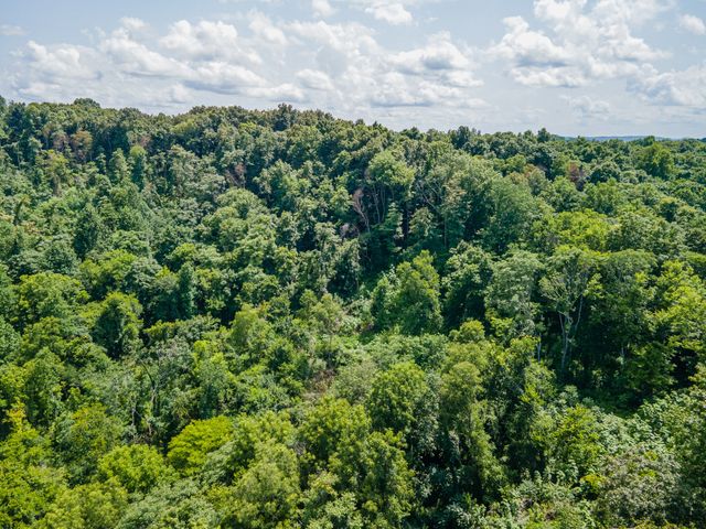 1700 Allen Brown Rd, Belfast, TN 37019