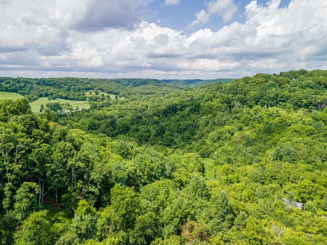 1700 Allen Brown Rd, Belfast, TN 37019