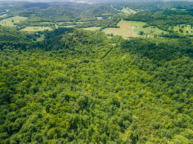 1700 Allen Brown Rd, Belfast, TN 37019