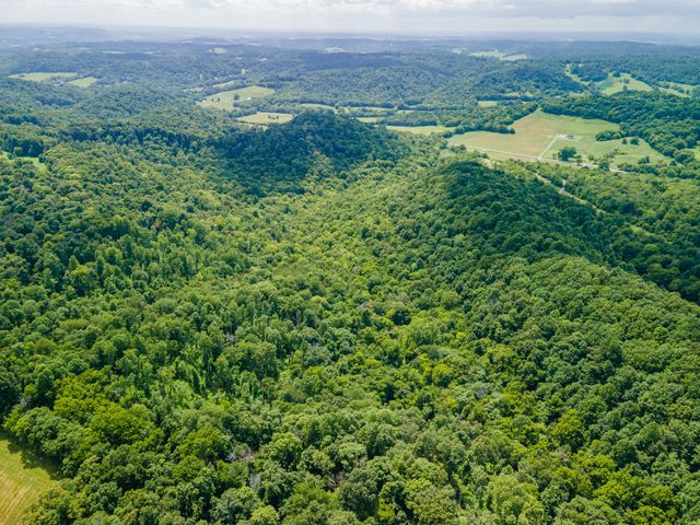 1700 Allen Brown Rd, Belfast, TN 37019