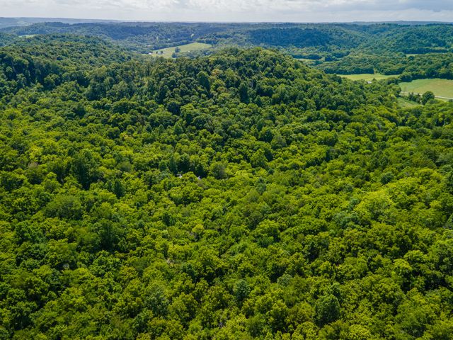 1700 Allen Brown Rd, Belfast, TN 37019