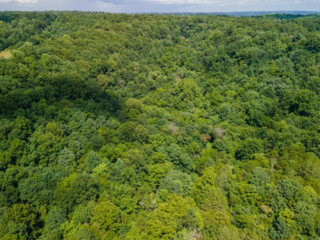 1700 Allen Brown Rd, Belfast, TN 37019