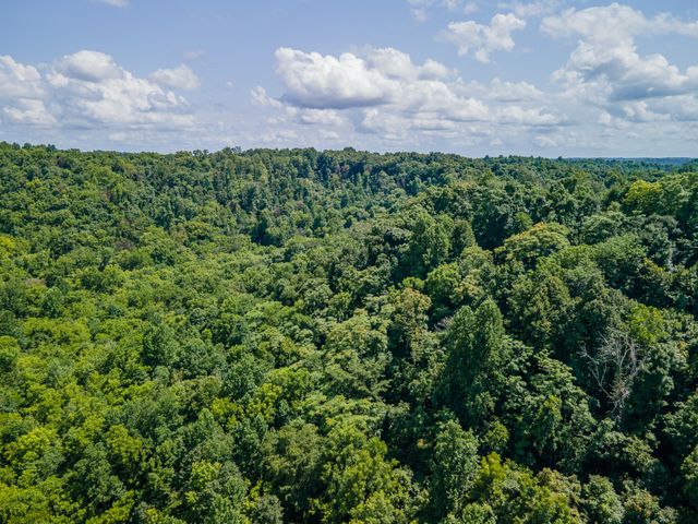 1700 Allen Brown Rd, Belfast, TN 37019