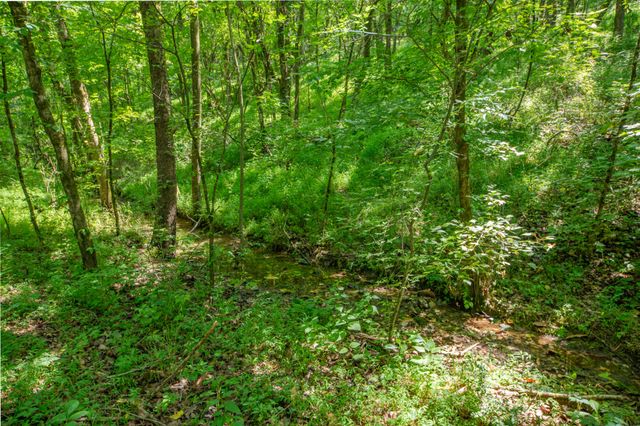 1700 Allen Brown Rd, Belfast, TN 37019