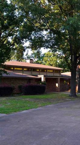229 County Road 2135, Pittsburg, TX 75686