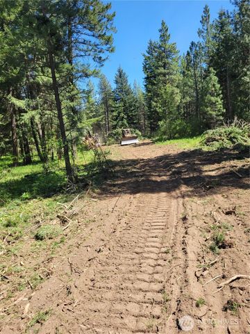 27 Summit View at Wallace Ranch, Cle Elum, WA 98922
