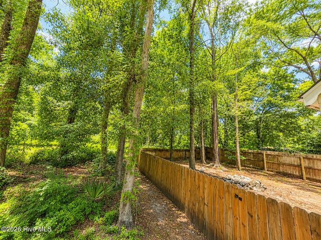6417 Mossy Rock Court, Castle Hayne, NC 28429