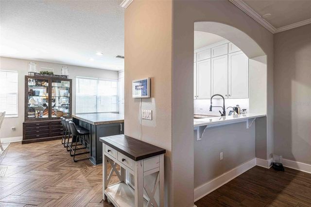 10144 ARBOR RUN 34, Tampa, FL 33647