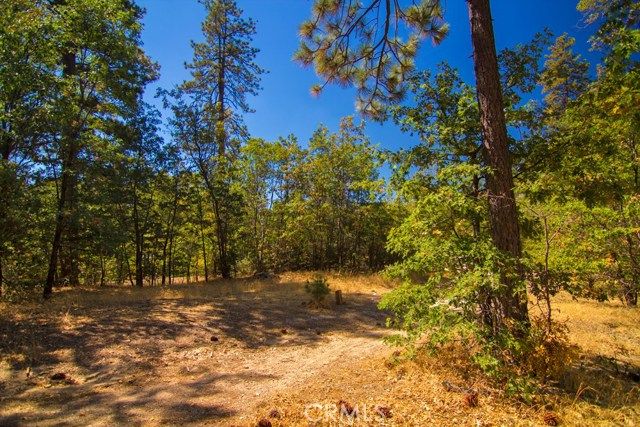 0 N Bay Road, Lake Arrowhead, CA 92352