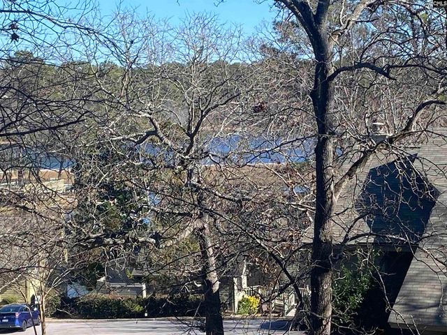 96 Ligustrum Lane, Columbia, SC 29209