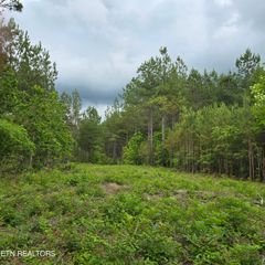 Lot 11 Holly Woods, Robbins, TN 37852