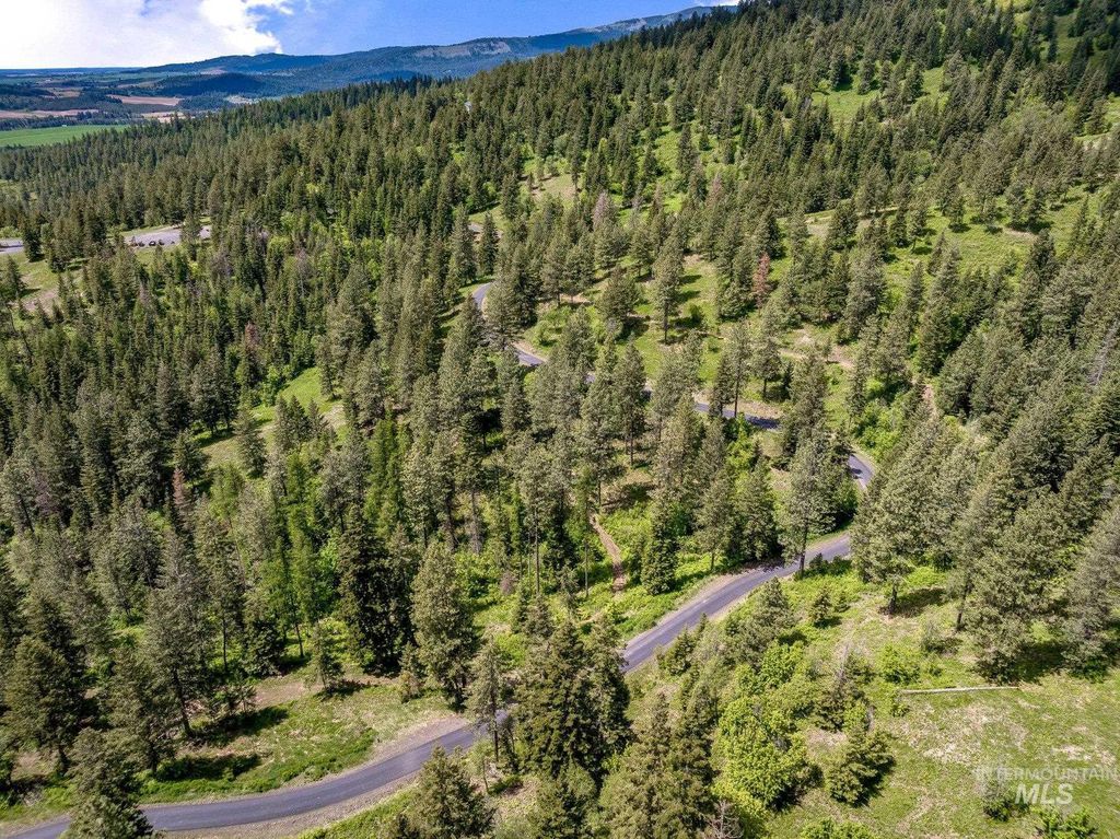 17442 S Painted Rose Road, Worley, ID 83876 photo 40