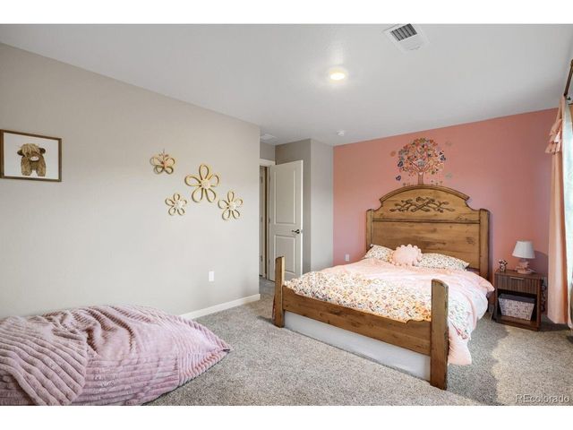 17311 Rose Mallow St, Parker, CO 80134
