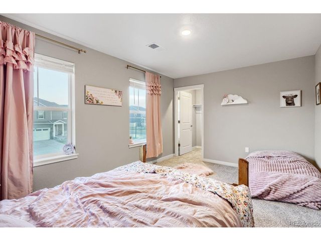 17311 Rose Mallow St, Parker, CO 80134