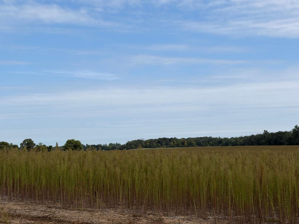 TBD (L12-SM East) Yellowpine Court NW, Isanti, MN 55040 — photo 2