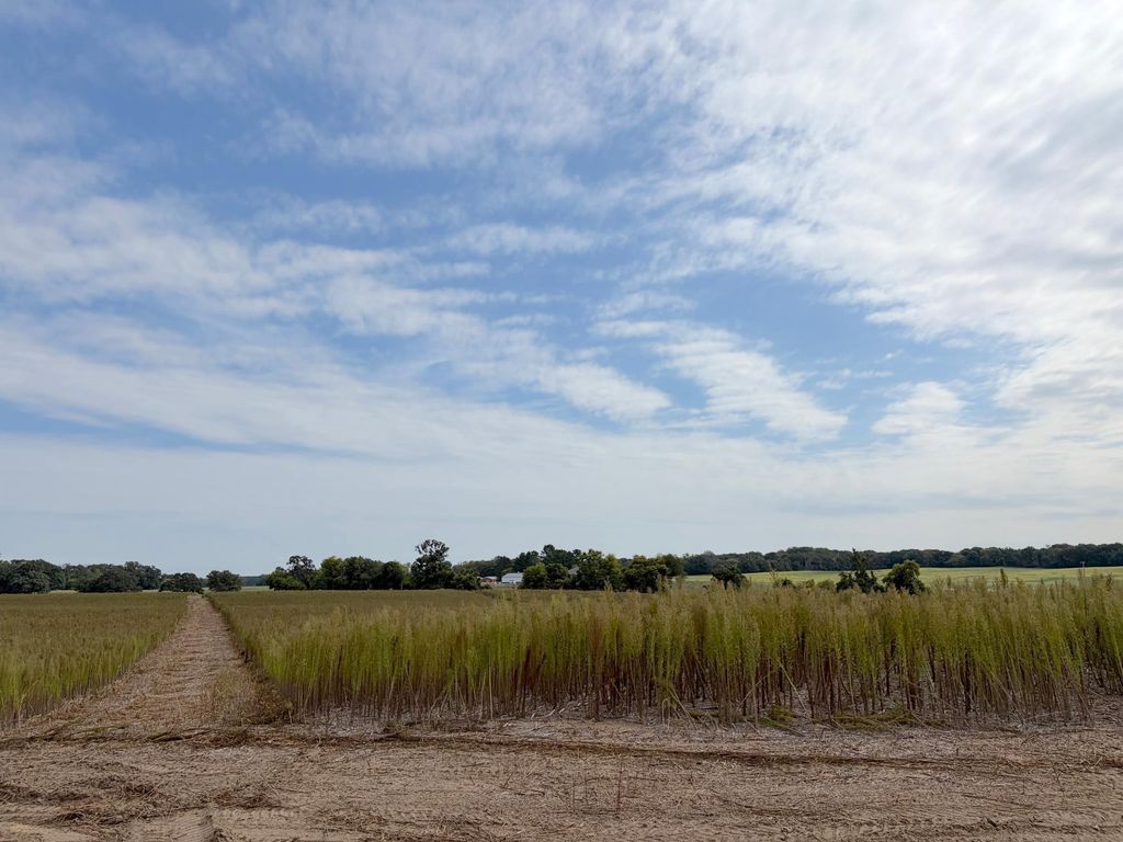 TBD (L12-SM East) Yellowpine Court NW, Isanti, MN 55040 — photo 4