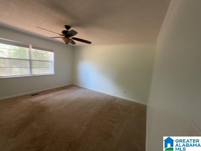 216 DOYLE DRIVE, Montevallo, AL 35115