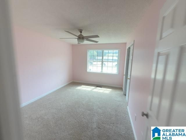 216 DOYLE DRIVE, Montevallo, AL 35115