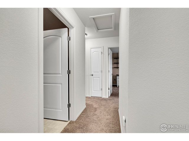 831 Sambar Dr, Severance, CO 80550