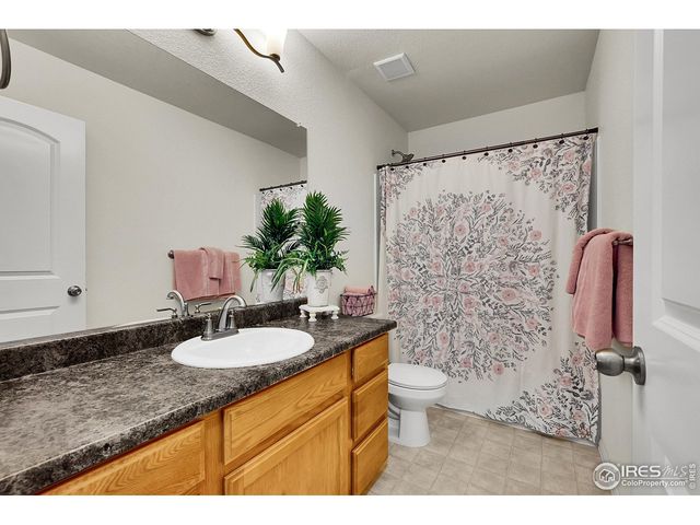 831 Sambar Dr, Severance, CO 80550