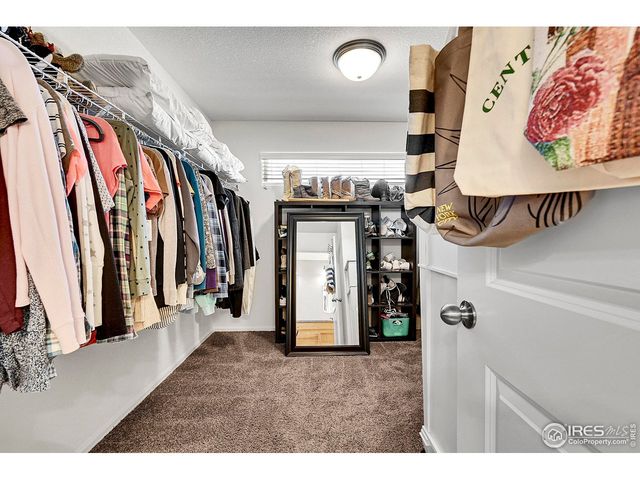 831 Sambar Dr, Severance, CO 80550