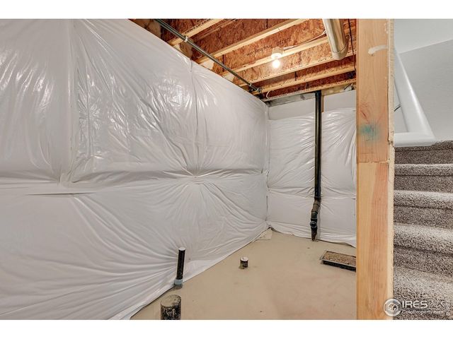 831 Sambar Dr, Severance, CO 80550