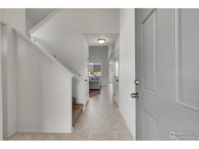 831 Sambar Dr, Severance, CO 80550