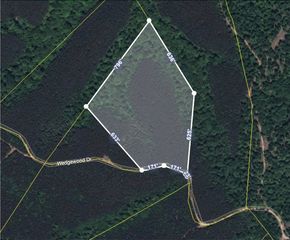 2238 Wedgewood Drive, Linden, TN 37096