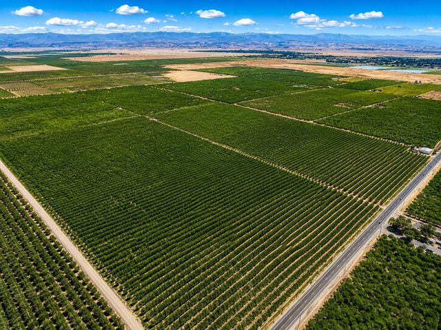 32487 Avenue 12, Madera, CA 93636